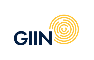 Global Impact Investing Network (GIIN)